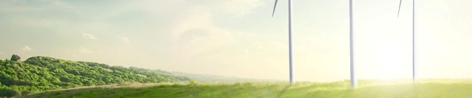 100 % dansk vindenergi