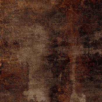 T800101250 T800101250