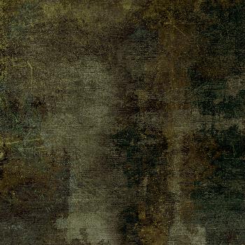 T800101750 T800101750